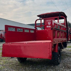 Tricycle à <span class=keywords><strong>essence</strong></span> robuste Xinwang G3 XW150ZH-11 5.00-12 à 3 roues, <span class=keywords><strong>prix</strong></span> compétitif direct usine - Product Image 6