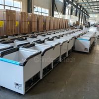 Congélateur à glace commercial 720L avec porte vitrée incurvée, refroidissement direct, congélateur coffre à congélation profonde pour restaurant