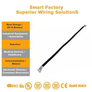 Kabel Harness Utama Ebike yang Andal 10-Pin PBT Tahan Air untuk Komputer, Sepeda Motor, IoT, dan Mobilitas - Product Image 3