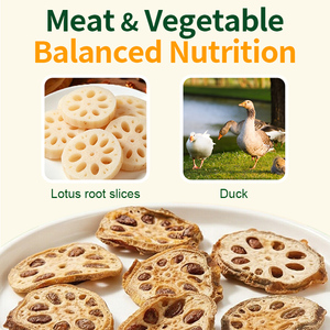 Tranches de racine de lotus lyophilisées <span class=keywords><strong>pour</strong></span> chiens et chats, friandises naturelles croustillantes à base de légumes, riches en fibres, faibles en gras, véganes, à mâcher, OEM - Product Image 4