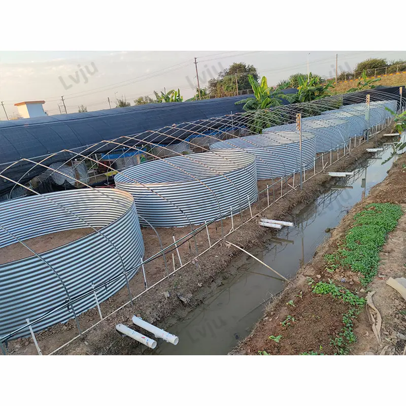 Lvju Sistem Ras 28000 Liter Dia 5M X H 1.45M Akuarium Akuarium Ikan Lele Tilapia Kolam Ikan