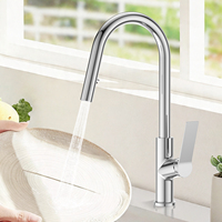 Keran Dapur Tarik Keluar TOPWAY Single Handle Stainless Steel 304 dengan Sprayer 2 Fungsi