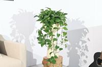 Beauté artistique pot de fleurs de boue de magnésium salon centre commercial intérieur et extérieur sol au plafond plantes vertes plantes en pot