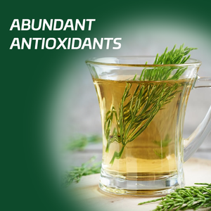 Thé de Prêle, Complément Herbal pour Adultes - Soins de Beauté et Santé des Yeux - Product Image 4