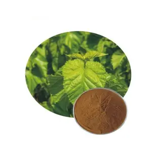 Nuoyuan dut yaprağı ekstresi tozu DNJ (deoksinojirimisin hidroklchloride) en iyi fiyat ile 1% 1.5%