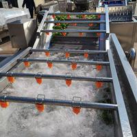 Automatische fruit- en groentewasmachine met bubbels, SUS304, commerciële groentewasser met waterrecirculatiesysteem