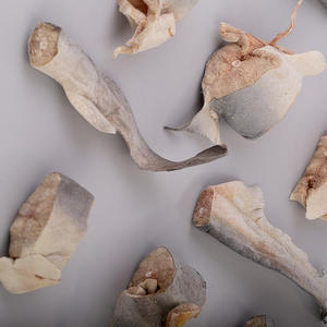 ओमेगा-3 फैटी एसिड कार्बनिक उच्च प्रोटीन फ्रीज-सूखे शार्क मांस चंक पालतू पाचन त्वचा स्वास्थ्य लाभ आइसो22000 का इलाज करता है - Product Image 6