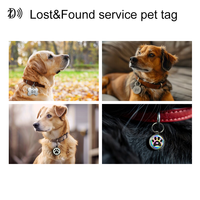 Etiqueta de Collar para Mascotas con Código QR NTAG 216 de 888 Bytes, Etiqueta RFID NFC de Epoxi para Animales, Precio de Fábrica