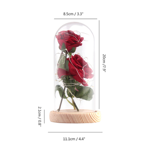 Nuevo Diseño La Bella y la Bestia 2 Piezas <span class=keywords><strong>Rosa</strong></span> Artificial <span class=keywords><strong>de</strong></span> Seda Rosas Eternas Preservadas <span class=keywords><strong>con</strong></span> Luces LED en Cúpula <span class=keywords><strong>de</strong></span> <span class=keywords><strong>Cristal</strong></span> - Product Image 4