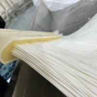 Module de membrane MBR submergé pour la filtration des eaux usées, membrane à fibres creuses de type rideau pour station d'épuration MBR