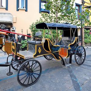 Carroza Eléctrica Negra de Alta Calidad para Turismo, Transporte Especial, Fabricante en Venta, Ofrecemos Depósito Personalizado - Product Image 1