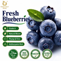 Verse 100% pure donkerblauwe bosbessen, hele vruchten, volle, natuurlijke, zoet-zure superfood, premium kwaliteit, groothandel bulk