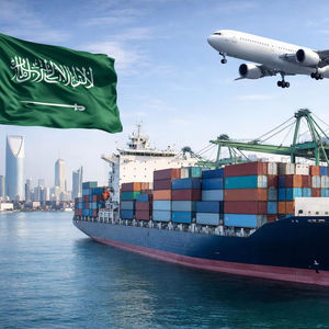 Servicio de registro de la SFDA para productos alimenticios, cosméticos y herbales en Arabia Saudita, servicio de cumplimiento de importaciones y despacho de envíos. - Product Image 1