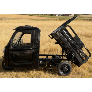 <span class=keywords><strong>Voiture</strong></span> électrique semi-fermée Eec, tuk-tuk électrique, tricycle cargo Coc, chargé via une prise de courant standard 230V, stock UE - Product Image 1