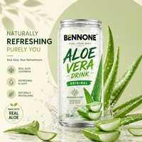 BENNONE Aloë Vera smaakloze magere vruchtensap 310ml blik gesteriliseerd gefilterd OEM dranken groothandel China drankenfabriek