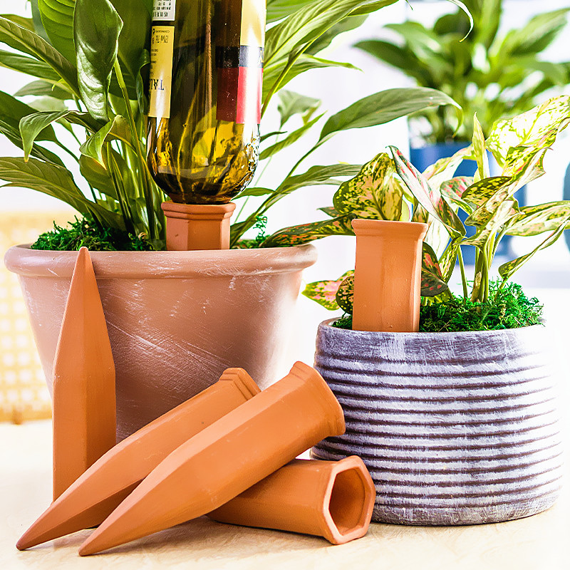Automatic Planter Irrigation Spikes - Self-Watering Terracotta