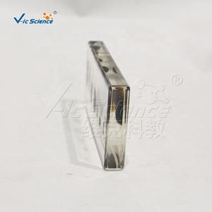 Insecto en Resina, Espécimen de Colección de Insectos, Pisapapeles, Araña Preservada - Product Image 3