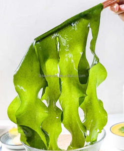Fournisseur d'usine Nouvelle saison Haute qualité Algues marines séchées naturelles biologiques Undaria Pinnatifida Feuilles de wakame séchées 5KG Emballage OEM - Product Image 6