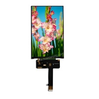 Modul LCD TFT HD IPS 5.5 inci dengan lampu latar LED LVDS & Antarmuka RGB SPI untuk produk layar LCD