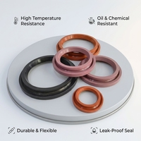 Prix d'usine, logo personnalisé, OEM, joints de valve à dôme gonflable à double lèvre NBR TC pour systèmes hydrauliques et outils électriques