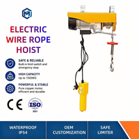 Palans électriques sans fil monophasés 110V 220V antirouille pour garage, entrepôt, ferme, maison – Solution de levage efficace