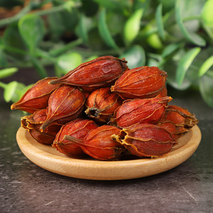 Suministro al por mayor <span class=keywords><strong>de</strong></span> Zhi Zi, Fructus Gardeniae Puro Natural Seco, Especias y Hierbas, Semillas <span class=keywords><strong>de</strong></span> Fructus Gardeniae Rojas en Venta - Product Image 5