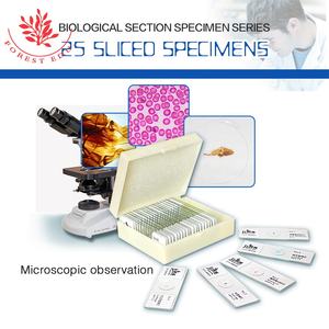 Material Escolar 25 Piezas Botánica General y Zoología Diapositivas Preparadas - Product Image 2