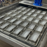 Machine à glaçons de 5 kg avec logo personnalisé, machine à glaçons à eau salée pour entreprises