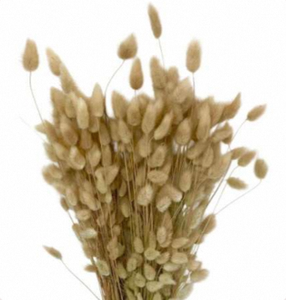 Hierba de Cola de Conejo Seca Natural (Lagurus Ovatus), Relleno de Felpa para Flores Artificiales, Decoración de Bodas y Hogar, Manualidades, Ramos - Product Image 1