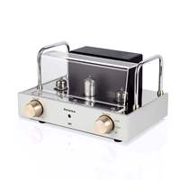 Tüp amplifikatör sınıf A Hifi ses amplifikatörü yüksek güç 10w ev sineması mavi diş 5.0 High End ev Amp