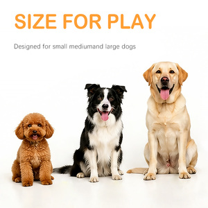 Juguete Masticable <span class=keywords><strong>para</strong></span> <span class=keywords><strong>Perros</strong></span> de Grado Alimenticio, 7 Piezas, Duradero, de Cuerda de Algodón, con Forma de Pelota y Nudos, <span class=keywords><strong>para</strong></span> Limpieza Dental y Juego en Interiores - Product Image 5