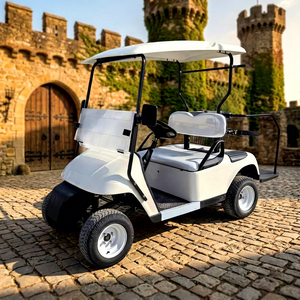 Carrito de Golf Eléctrico en Oferta, Suministro de Fábrica, Batería de Plomo-Ácido de Alta Potencia, Estructura de Acero, Capacidad para 2 Personas, Mejor Precio - Product Image 1