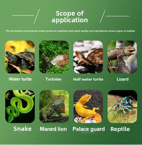 新しいキャビネットペットインキュベーター自動卵回転95% 孵化率一定温度湿度カメカタツムリ卵1年 - Product Image 5