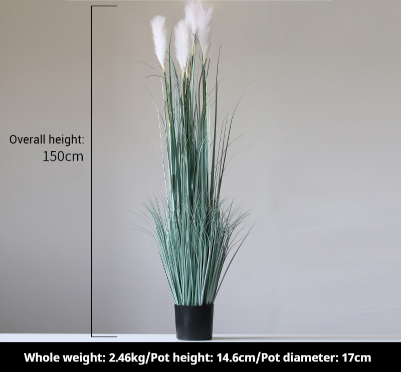150cm gray-white 5 heads of reeds