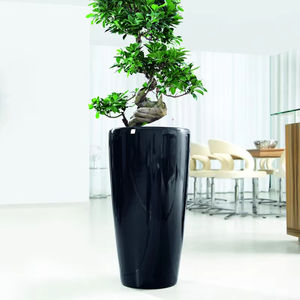 Thủy canh hệ thống thiết lập với tráng men gốm nồi nhựa sợi thủy tinh vòng trồng vườn trang trí nội thất máy tính để bàn nhà hàng Điều kiện Mới - Product Image 5