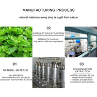 Approvisionnement d'usine pur naturel organique menthe poivrée menthe huile essentielle poivre menthe peau cheveux huile en vrac