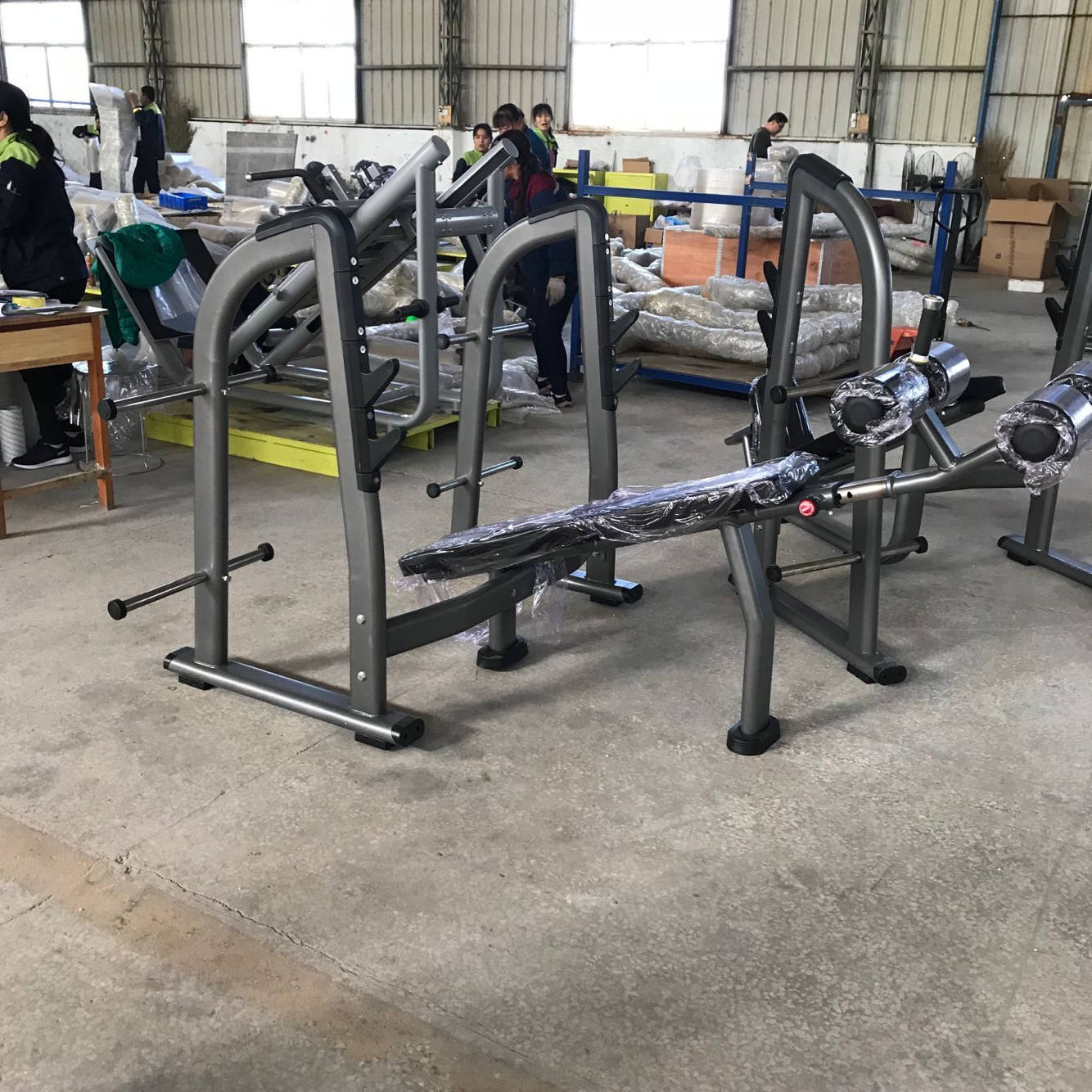 Rohsは、ジム用ボディービル用のプロのフィットネス機器金属製デライン