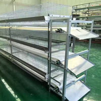 Machine manuelle de nettoyage de fumier pour poulailler, système d'élimination des déchets pour l'équipement des cages à poules pondeuses