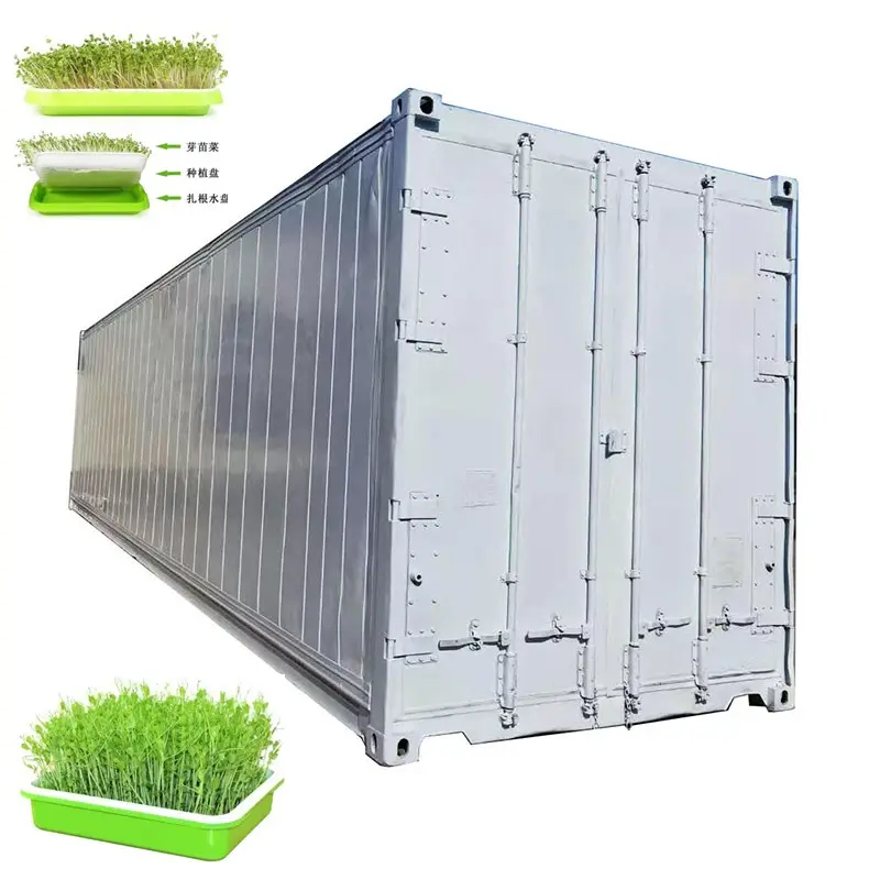 Ủ Đậu Giá Anteque Apeleton No 8 Cắt Aquaponics Phát Triển Hệ Thống Thủy Canh Anime Thức Ăn Cho Thức Ăn Gia Súc