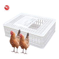 Cage à poulets en plastique 900*600*405 mm, prix des cages à volailles pour élevage de poulets de chair