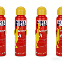 Approvisionnement direct d'usine, extincteur à mousse ignifuge à base d'eau de haute qualité, facile à utiliser, classe ABCEK, 500 ml/1000 ml