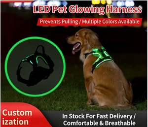 <span class=keywords><strong>Harness</strong></span> Dada LED Tanpa Tali Tarik untuk Jalan-Jalan Anjing di Malam Hari, Anti-Kejadian Kecelakaan Mobil, Aksesoris Hewan Peliharaan Berkedip yang Dapat Disesuaikan - Product Image 4
