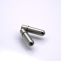 Peigne de beauté électronique Xing Lianchang, applicateur de médicaments, guide-liquide, aiguille à bille, modèle de massage en acier inoxydable