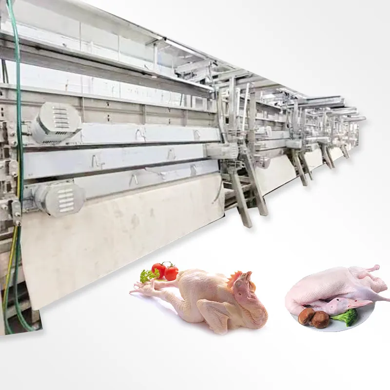 AICN high quality automatic compact poultry rabbit slaughter house machinery plants line chicken