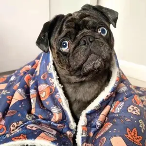 Özel köpek battaniyesi polar yumuşak peluş özel Logo yumuşak ve sıcak pazen Pet köpek battaniyesi