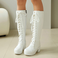Nouvelles bottes hautes marron 2026 avec fermeture éclair avant, lacets latéraux, talon épais, chaussures décontractées, bottes à tube haut pour un style urbain tendance