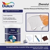 Dulux Mastic de réparation mural inodore, imperméable, séchage rapide, anti-humidité, anti-moisissure, blanc, usage domestique pour la rénovation, fabriqué en Chine continentale