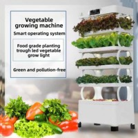 Machine de culture hydroponique intelligente multicouche personnalisable pour tomates, concombres, fruits et légumes à domicile avec circulation d'eau
