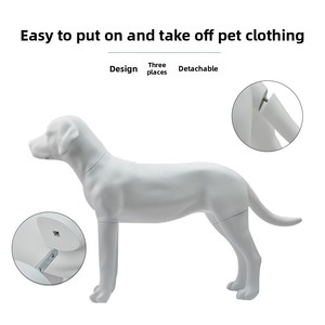 Mannequin <span class=keywords><strong>de</strong></span> chien Labrador grandeur nature professionnel pour l'affichage <span class=keywords><strong>de</strong></span> vêtements pour animaux <span class=keywords><strong>de</strong></span> compagnie, modèle <span class=keywords><strong>de</strong></span> chien en fibre <span class=keywords><strong>de</strong></span> verre détachable, accessoire <span class=keywords><strong>de</strong></span> statue - Product Image 3