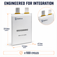 Batterie solide Battivus 60Ah 3.87V, décharge 2C, 516g, seulement 450Wh/kg, pour drone de cartographie VTOL à longue autonomie et charge lourde